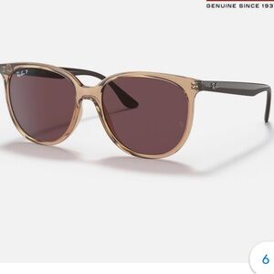 New Ray Ban Polarized Sunglasses with case